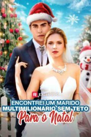 Encontrei um Marido Multimilionário Sem Teto Para o Natal