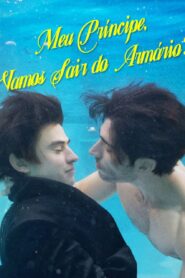 Meu Príncipe, Vamos Sair do Armário?