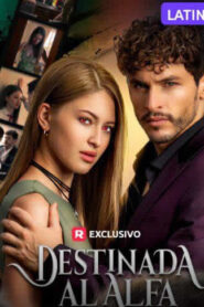 Destinada Al Alfa – Latino