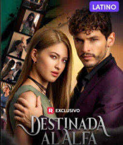 Destinada Al Alfa – Latino