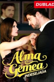 Alma Gêmea Inesperada