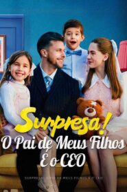 Surpresa! O Pai dos Meus Filhos é o CEO