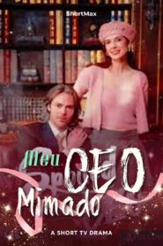 Meu CEO Mimado