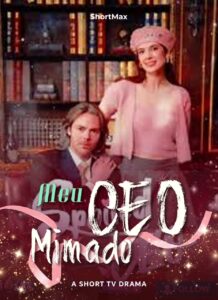Meu CEO Mimado