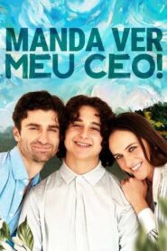 Manda Ver Meu CEO