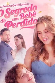 O Segredo de um Bebê Perdido