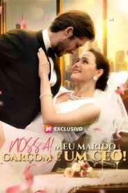 Nossa meu marido garçom é um CEO