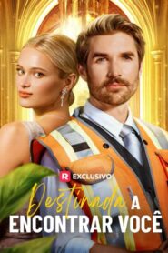 Destinada a encontrar você