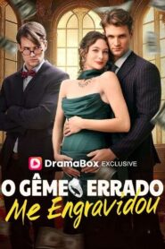 O Gêmeo errado me engravidou