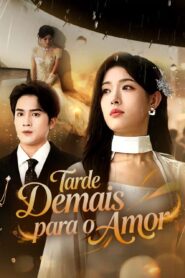 Tarde demais para o amor